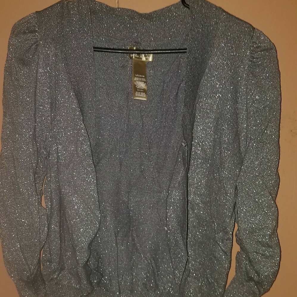 Glittery Gray Crop Top Cardigan